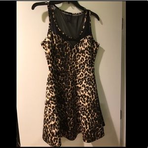 Cheetah print skater dress